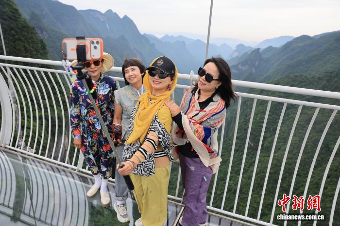 在实时赛程、比分、积分一手掌握方面，世界杯直播提供贴心周到的支持。 - 世界杯直播