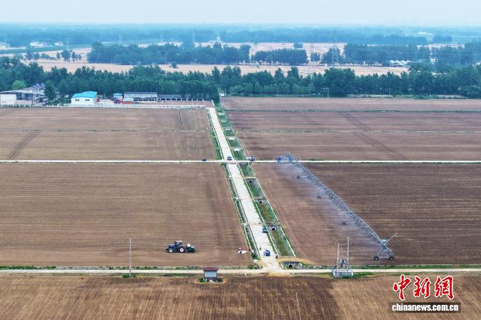 在实时赛程、比分、积分一手掌握方面，世界杯直播提供贴心周到的支持。 - 世界杯直播